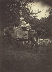 Female Peasant Riding Donkey