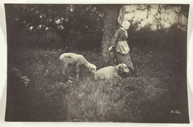 Shepherdess Leaning Against a Tree, with Two Sheep