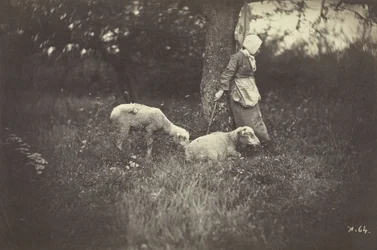 Shepherdess Leaning Against a Tree, with Two Sheep