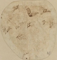 Birds in Flight