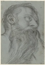 Study of a Head of a Prophet