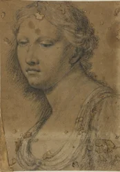 Bust of Woman