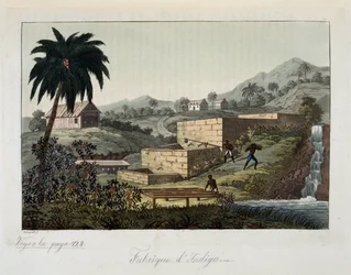 The indigo factory - in The Old and Modern Costume, by Dr. Jules Ferrario, ed. Milan