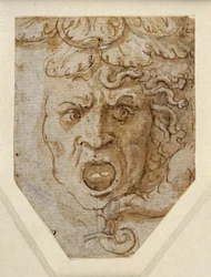 Head of Medusa