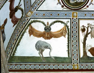 Camera con Fregio di Amorini, Ostrich (detail)