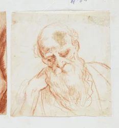 Head of a Bearded Man Looking Down