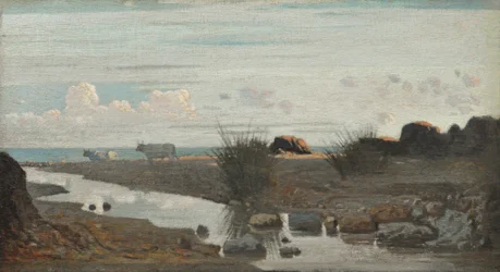 Lido with oxen grazing