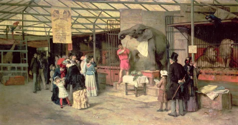 At the Zoo