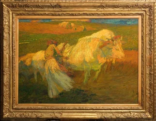 The Ploughing