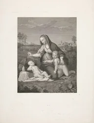 Mary with Child and Young John the Baptist in a Landscape (Madonna del Velo)