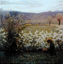 Field in Bloom