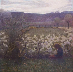 Flowering Meadow