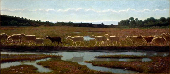 The Mirror of Life
