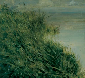 Study of Marsh