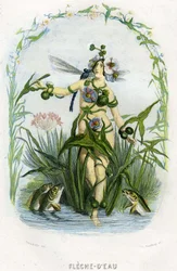 Illustration for 