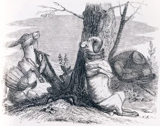 The donkey and the dog - Fables by La Fontaine