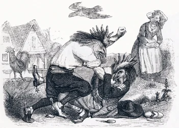 The Two Roosters - Fables by La Fontaine