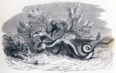 The dragon has several heads and the dragon has several tails - Fables by La Fontaine