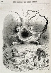 The Loves of Two Beasts (Freaking Monster) - in 