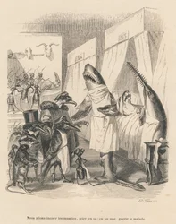 Shark Doctors Explaining Their Surgical Intervention. Illustrated Vignettes by JJ Granville. Engraving signed Godard in the section 