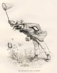 Bird Hunting Butterflies. Illustrated Vignettes by JJ Granville. Engraving signed Andrew, Best and Leloir in the section 