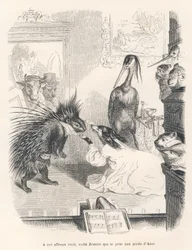 Opera with a porcupine, a dog and a heron on stage. Illustrated vignettes by JJ Granville. Engraving signed Godard in the section titled "The First Serial of Pistolet" written by Jules Janin in "Scenes from the Private and Public Life of Animals"