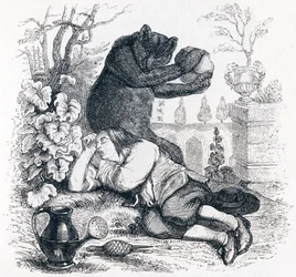 The Bear and the Garden Lover - Fables by La Fontaine