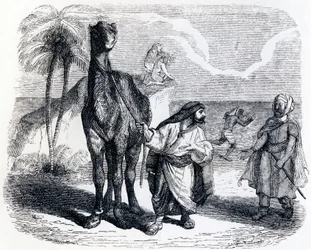 The Camel and the Floating Sticks - Fables by La Fontaine