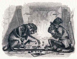 The Donkey and the Cat - Fables by La Fontaine