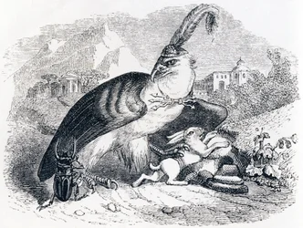 The Eagle and the Snail - Fables by La Fontaine