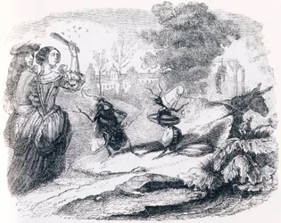The fly and the ant (La mouche et la fourmi) - Fables by La Fontaine
