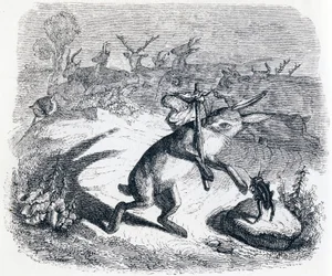 The Hare