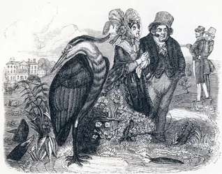 The Heron - Fables by La Fontaine