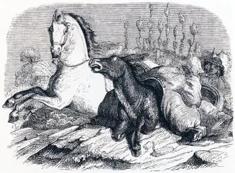 The Horse and the Donkey - Fables by La Fontaine