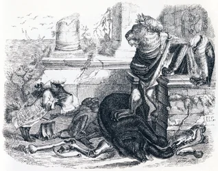 The Lion