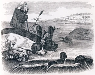 The Two Dogs and the Dead Donkey - Fables by La Fontaine