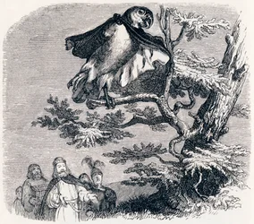 The Two Parrots, the King and His Son - Fables by La Fontaine