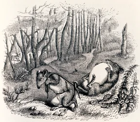 The Two Rats, the Fox and the Egg - Fables by La Fontaine