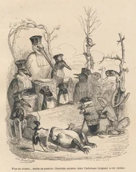 Court Consisting of a Stork and Other Birds, a Mole, and a Lizard to Unmask the Guilty of the Toad