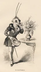An Old Butterfly Looking at the Time with His Glasses. Illustrated Vignettes by JJ Granville. Engraving Signed Breviere in the Section 