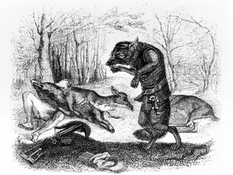 The Wolf and the Hunter, illustration for La Fontaine