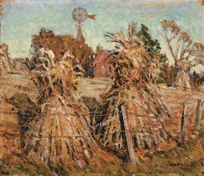 The Cornfield