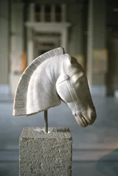 Head of a horse