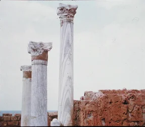 Marble Columns