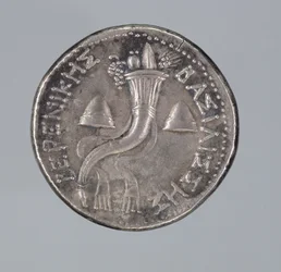 Silver Didrachma of Berenice II