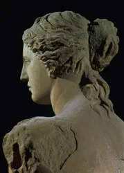 Venus de Milo (detail)