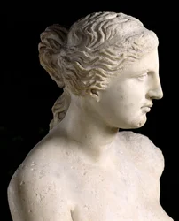 Venus de Milo (detail)
