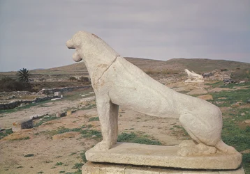 View of the lion terrace
