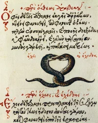 Snake coupling, test and miniature from De animalium natura et proprietate libellus