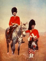 Officers of the Seaforth Highlanders, 1901